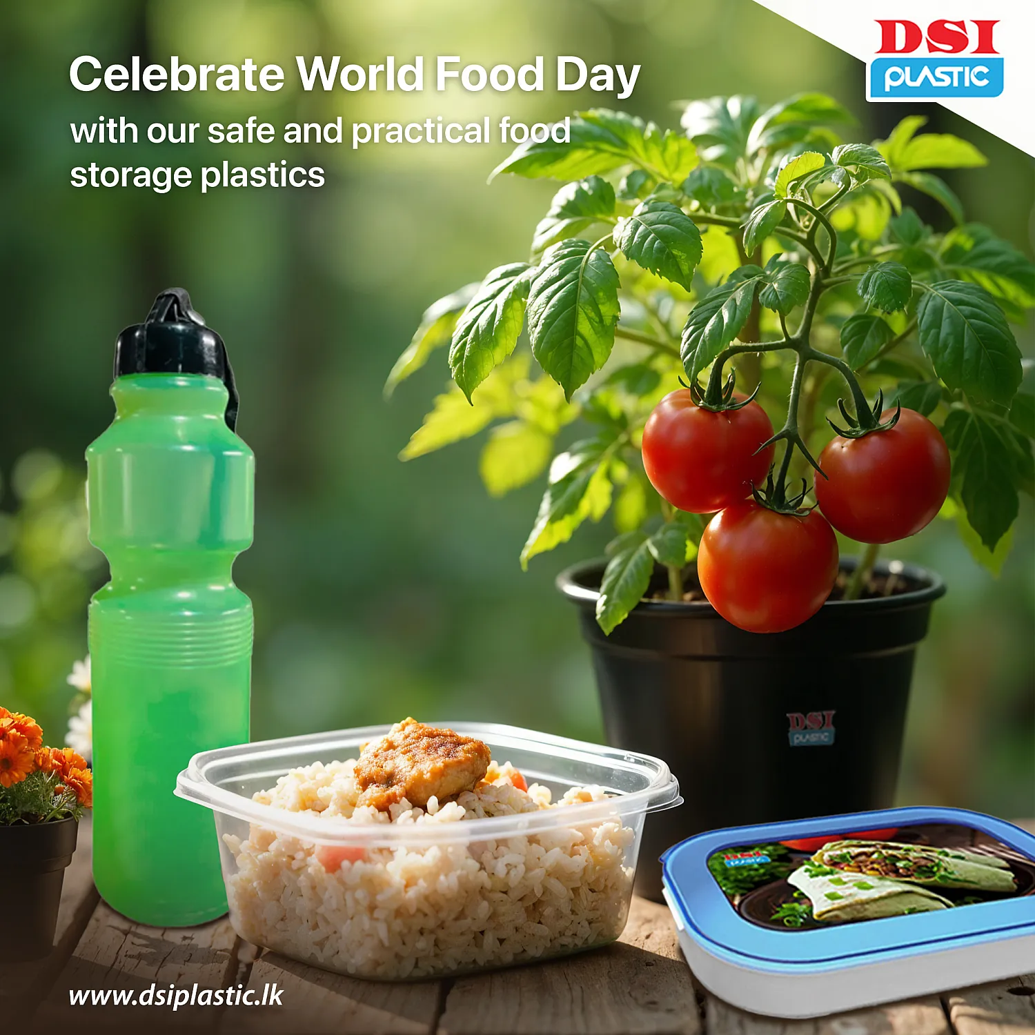 Social Media Post Design